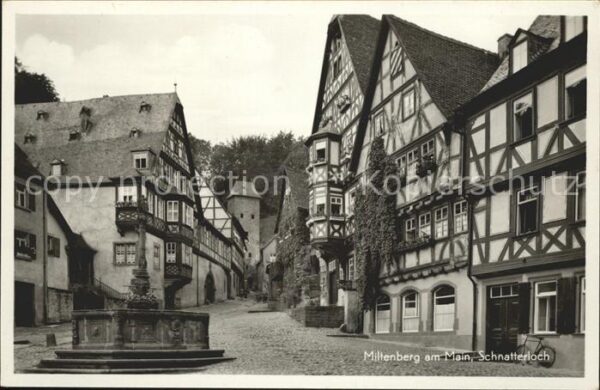 Miltenberg Main Schnatterloch