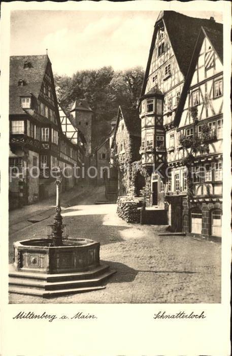 Miltenberg Main Schnatterloch