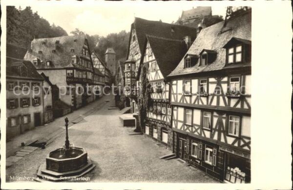 Miltenberg Main Schnatterloch