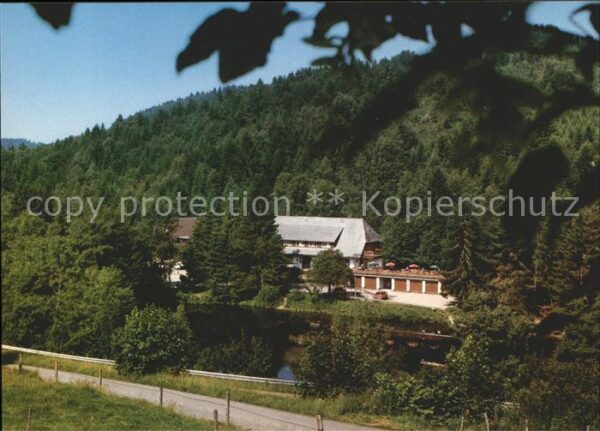 Dachsberg Suedschwarzwald Wittenschwand Klosterweiherhof