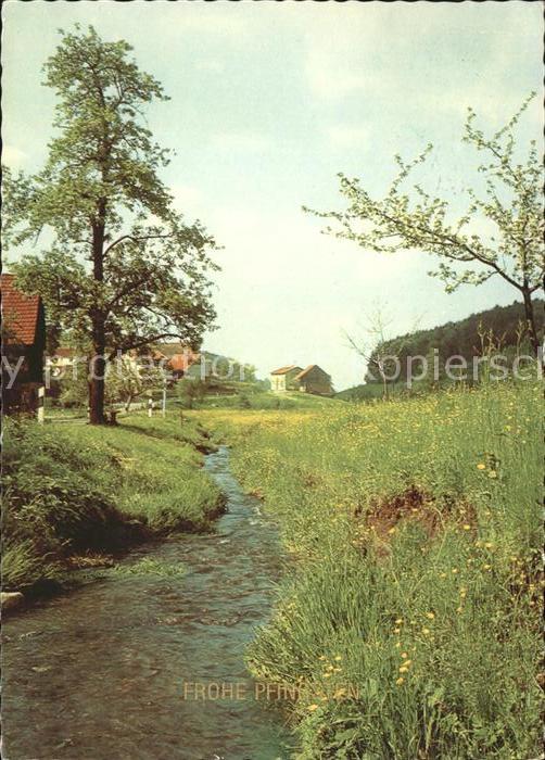 Pfingsten Pentecost Pentecote Baum Wiese
