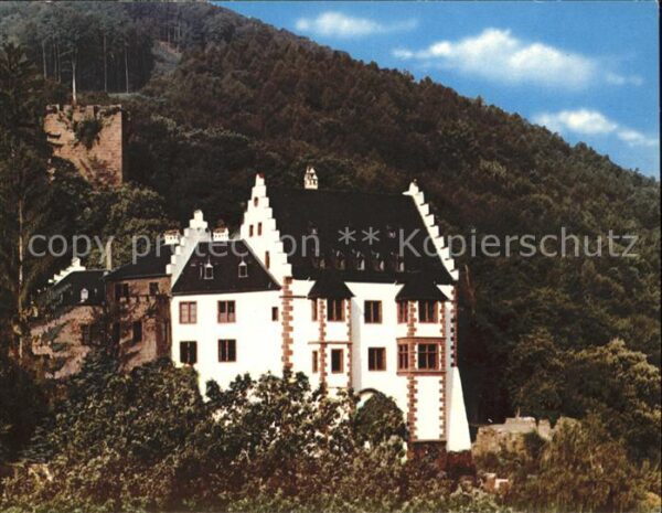 Miltenberg Main Mildenburg