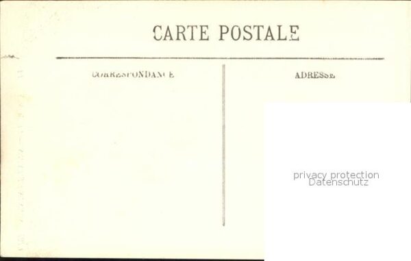 Kamel  Camel Chameau Typen Fondouk – Bild 2