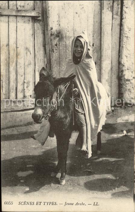 Esel Tiere Kind Arabien Typen