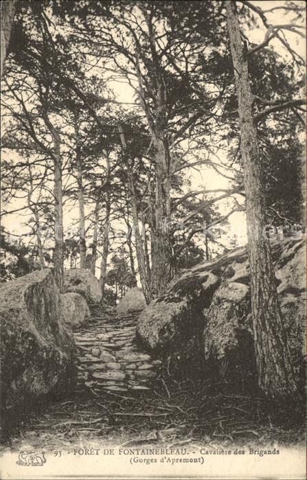Baeume Trees Foret de Fontainebleau Cavaliere des Br