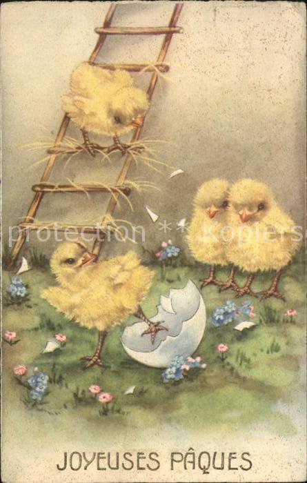 Ostern Easter Paques Küken Leiter Blumen Eierschale