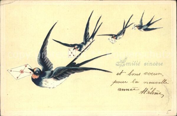 Voegel Schwalben Briefe
