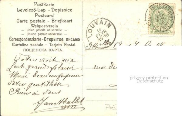Tauben Veilchen – Bild 2