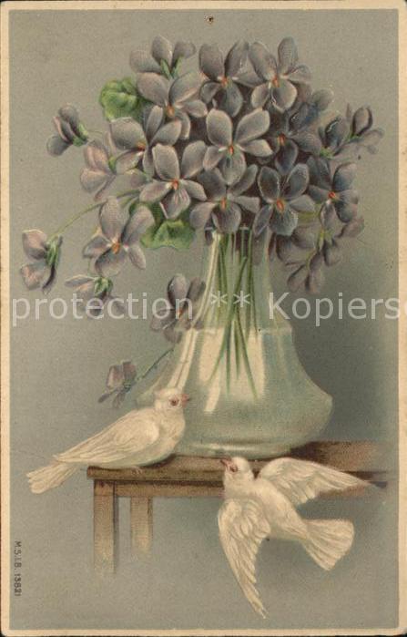 Tauben Veilchen Vase