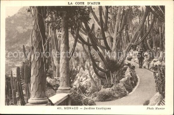 Kakteen Monaco Jardins Exotiques Cote d_Azur