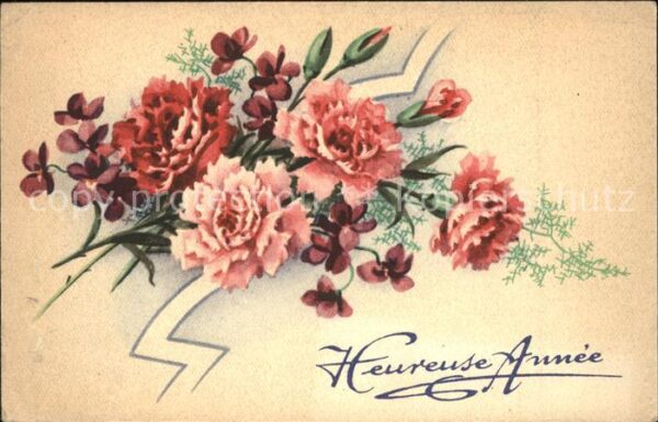 Neujahr Blumen Nelken