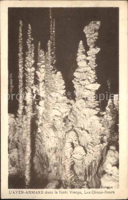 Hoehlen Caves Grottes Aven-Armand foret Vierge Choux-fieurs
