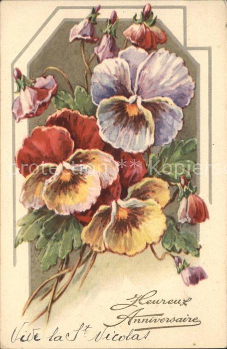 Blumen Stiefmütterchen Geburtstag