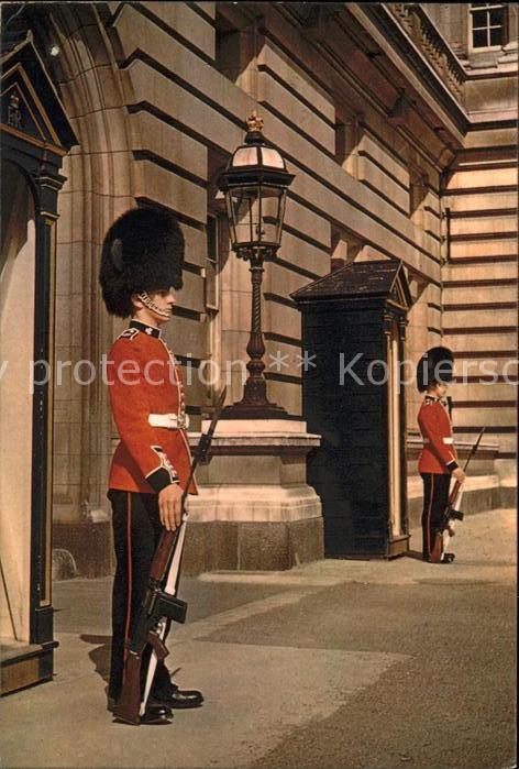 Leibgarde Wache London Queen's Guard Irish Guards Bucki