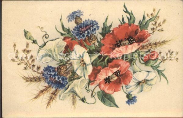 Blumen Mohnblumen