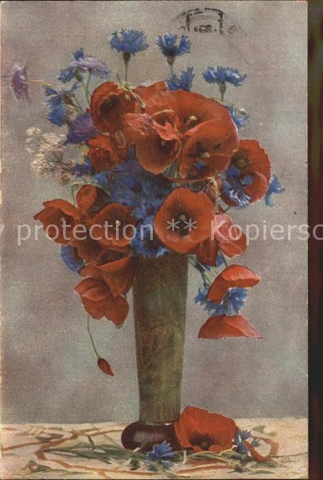 Blumen Mohnblumen Vase