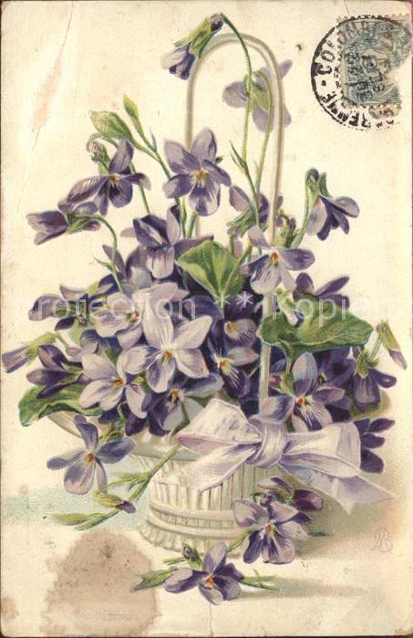 Blumen Veilchen Schleife