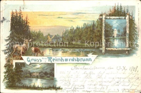 Reinhardsbrunn Panorama Hirsch Reh Partie am Fluss