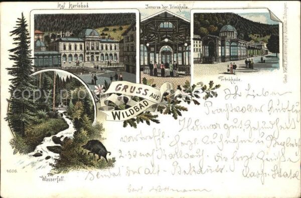 Wildbad Schwarzwald Königliches Karlsbad Inneres Trinkhalle