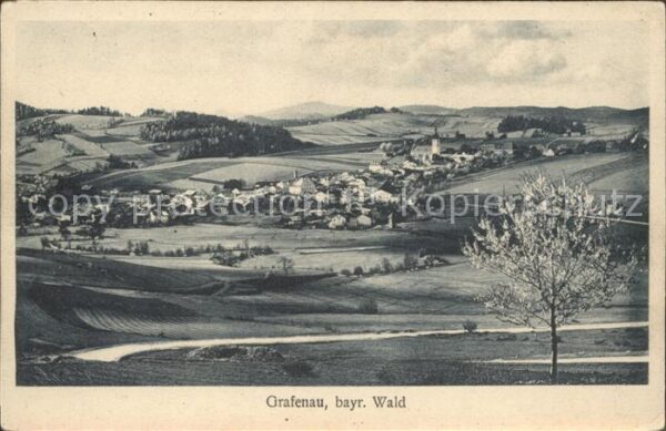 Grafenau Niederbayern Panorama Bayerischer Wald