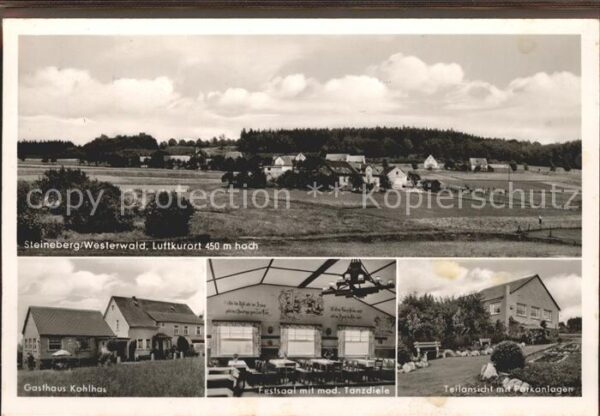Steineberg Gesamtansicht Luftkurort Gasthaus Kohlh