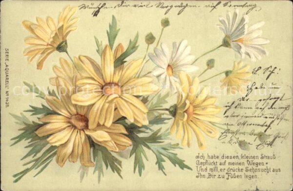 Blumen Margeriten Gedicht