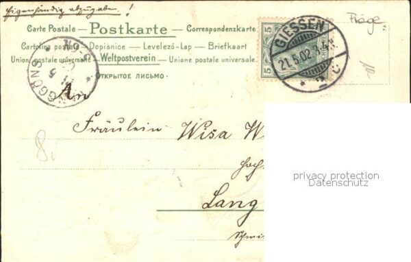 Edelweiss Kleeblatt Frau Tracht Berge Natur – Bild 2