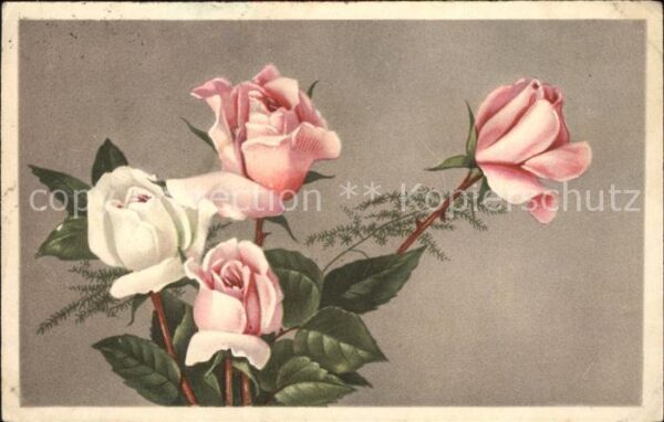 Rosen