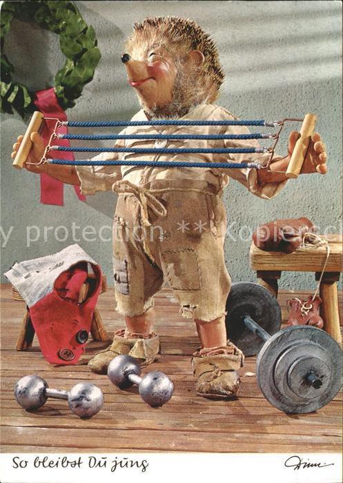 Mecki Nr. 351 Sport Fitness Hanteln Expander Boxh