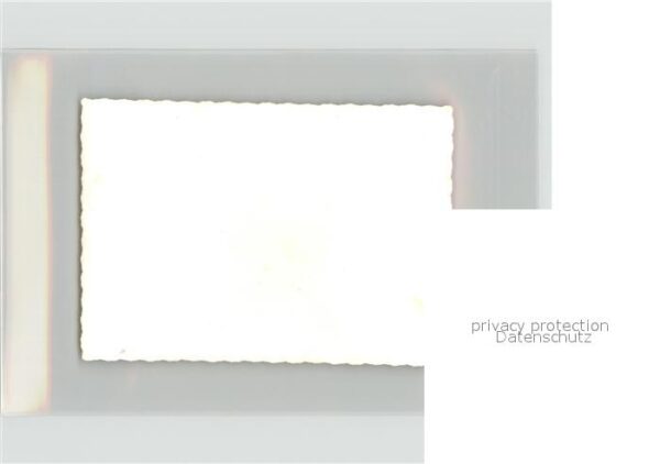 Kinder Child Enfants Kinderspielzeug Rollente – Bild 2