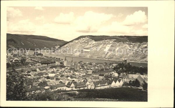 Bingen Rhein Panorama