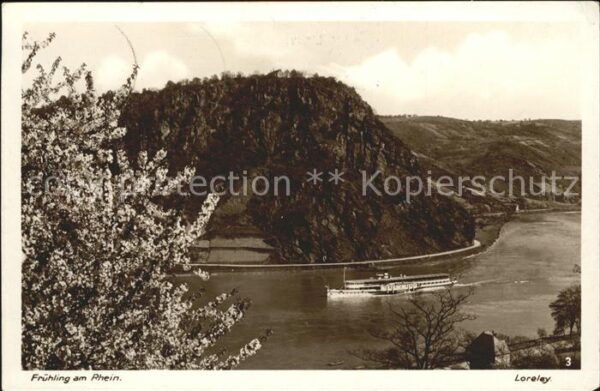 Bingen Rhein Loreley Rheindampfer