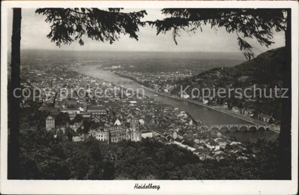 Heidelberg Neckar Totalansicht