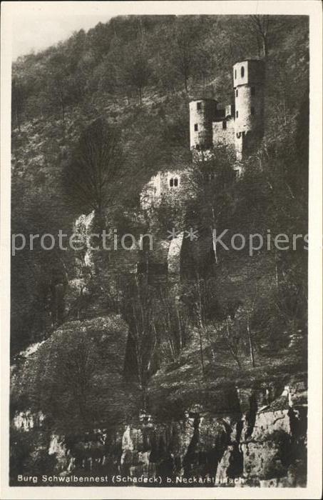 Neckarsteinach Burg Schwalbennest Schadeck