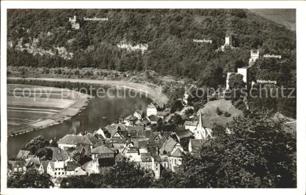 Neckarsteinach Vierburgen Blick