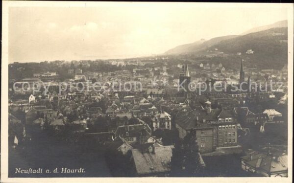 Neustadt Haardt Panorama