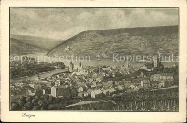 Bingen Rhein Panorama