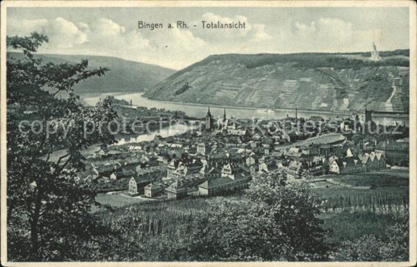 Bingen Rhein Totalansicht