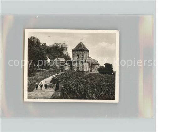 St Martin Pfalz Die Kropsburg