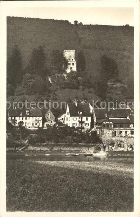 Neckarsteinach Die Vorderburg