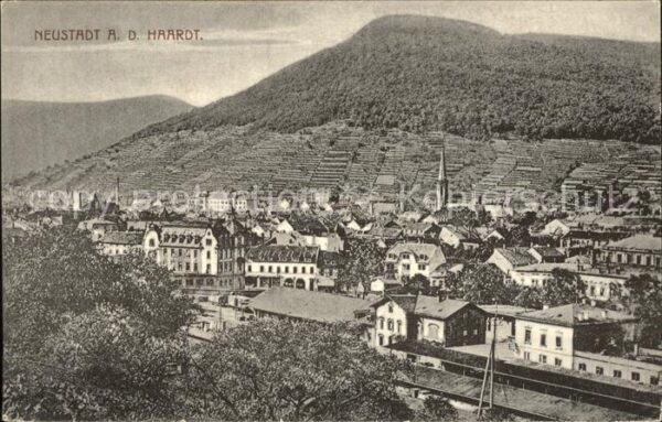 Neustadt Haardt Ortsblick