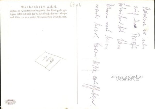 Wachenheim Weinstrasse Historischer Trinkwettkampf – Bild 2