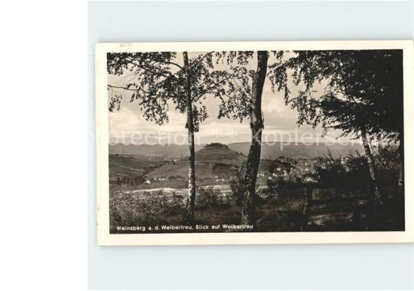 Weinsberg Panorama Blick auf Weibertreu