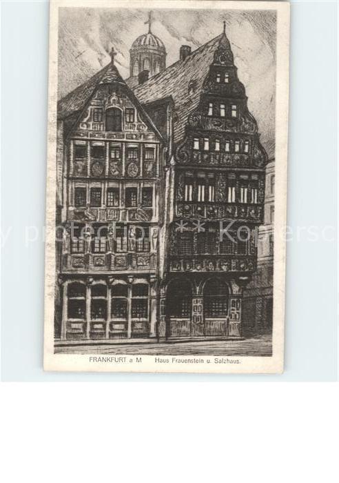 Frankfurt Main Haus Frauenstein und Salzhaus Künstlerk