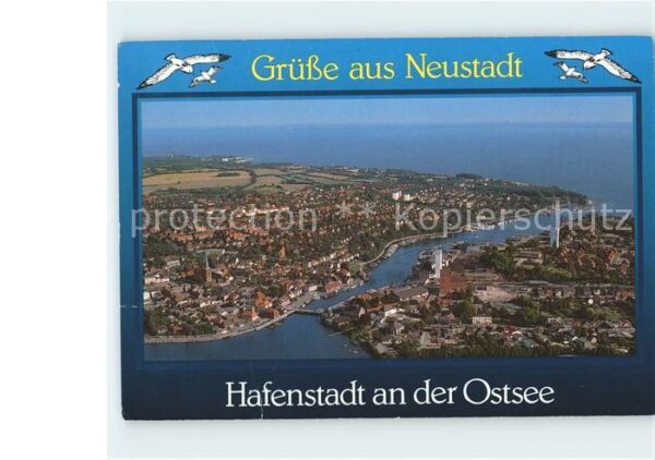 Neustadt Holstein Hafenstadt Möwen Fliegeraufnahme
