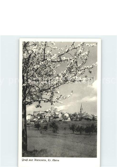 Altenstein Hassberge Ortsansicht mit Kirche Baumblüte