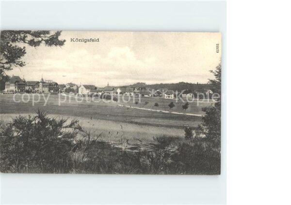 Koenigsfeld Schwarzwald Panorama