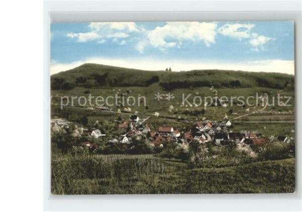 Lipburg Gesamtansicht Schwarzwald
