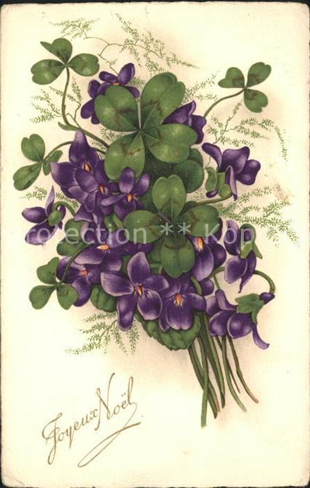 Blumen Veilchen Weihnachten Kleeblätter