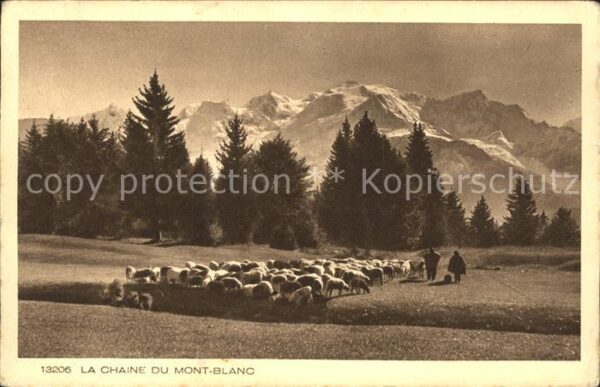 Schafe Herde Chaine du Mont-Blanc